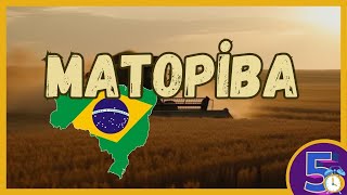 O Que é MATOPIBA? A Nova Fronteira Agrícola do Brasil