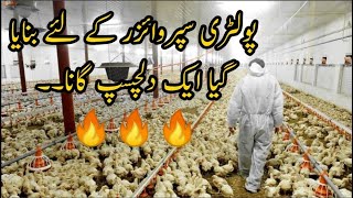 Poultry Supervisor Song | PPS Poultry