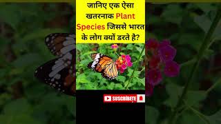 How Lantana Camara Harms Animals and Plant An Invasive Species Exposed #hindi #facts #lantanacamara