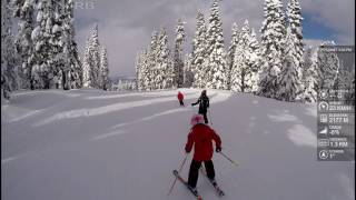 The Woods at Northstar with Tug and Gwenn leading the way