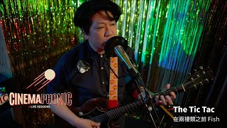 The Tic Tac - 在兩棲類之前 Fish | CINEMAPHONIC SESSIONS