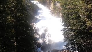 Amazing things to see at the grand Tetons