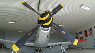 P51 Mustang, RAW footage