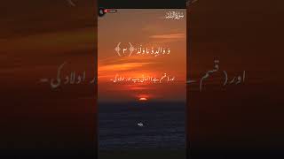 SURAH-UL-BALAD🤍🥀|| surah number 90 SURAT-UL-BALAD Ayat 20||  sipara 30 #shortvideo