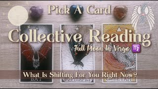 🌕Full Moon in Virgo♍️✨Pick A Card🔮What Is Shifting For You Right Now?🔮Collective Reading🌀Timeless