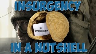 Insurgency: In a Nutshell