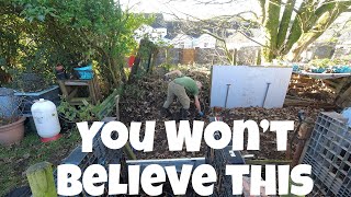 You Wont Believe This | Allotments For Fun and Food