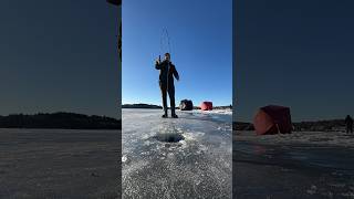 It was so close #fishing #icefishing #hake #hakefishing