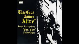 Various – Thee Cave Comes Alive! 80's Garage Punk Psych Fuzz Revival Music Album Compilation Album