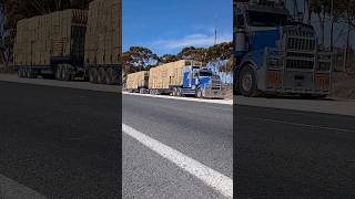 the Moo-ber eats Cow Cake Roadtrain in action💙🩶🇦🇺 #kenworth #kenworthtruck #hay #roadtrain