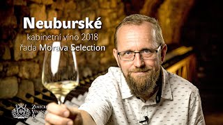 Víno před kamerou - Neuburské 2018 kabinetní víno, řada Morava Selection