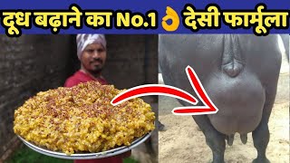 गाय/भैंस का दूध बढ़ाने का No.1👌फार्मूला|Doodh bdhane ka tarika|Bhains ka doodh|Increse cow milk