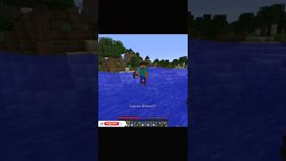 Eu e Meu Mano no Minecraft 333