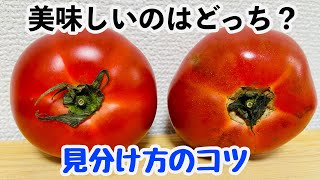 【失敗しない野菜選び】トマト・ピーマン・ナス・キュウリ