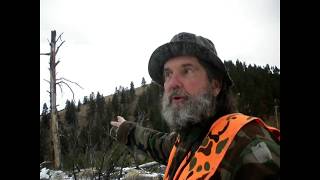 ELK  HUNTING WITH DAVID AND DANA!  ROCKY MOUNTAINS!  WESTERN MONTANA!  THEY SAW 10 COWS!