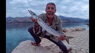 Barracuda Fishing Greece