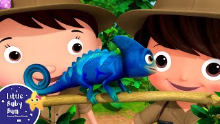 Animals That Camouflage | Nursery Rhymes and Kids Songs | Little Baby Bum | Animal for Kids