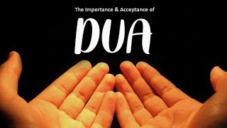 DUA