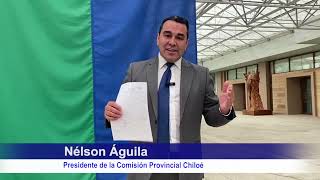 CONSEJO REGIONAL DE LOS LAGOS APROBÓ ASIGNACIÓN DIRECTA PARA EL BÁSQUETBOL FEMENINO DEL SUR DE CHILE