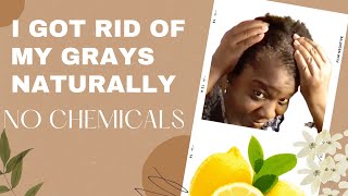 Get Rid of your gray hair naturally using Henna with Indigo Powder and Lemon Juice