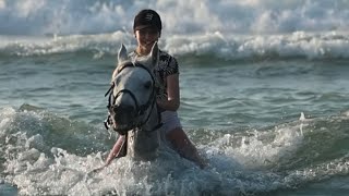 Swimming with horse galloping at the beach#horserid #equestrian #horseriding #horselover #beach