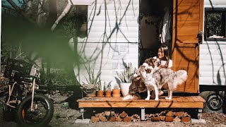 LOCKDOWN in an OFF GRID TINY HOUSE (Ep.8)