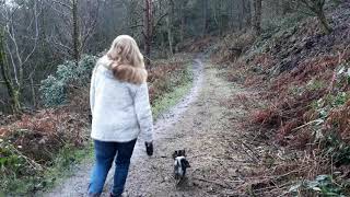 Dimmingsdale Valley Forest Walk Alton Stoke on Trent UK