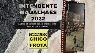 SAMBAS DE ENREDO SÉRIE BRONZE 2022