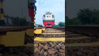 Under the train #shortvideo #railway #shorts #experiment #fyp