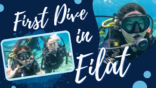 DIVING ADVENTURE IN EILAT ISRAEL│Introductory dive │Sigala Diving School in Eilat │Diving in Eilat