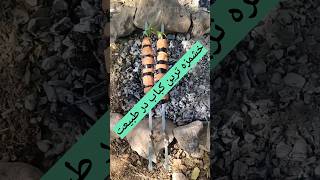 آموزش خوشمزه ترین کبابی که میتونید در طبیعت بخورید 🏕 Teaching food in nature