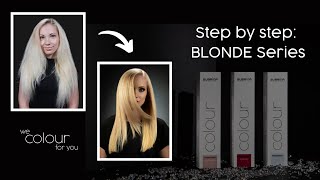 we COLOUR for you I Permanent Colour Step By Step Tutorial I Blonde Series