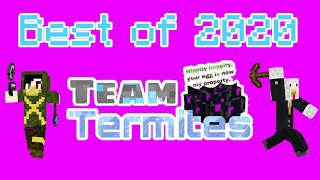 Team Termite Rewind - best of 2020