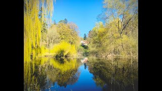 Seegut Blaue Blume in Buchenhain/Uckermark 2021