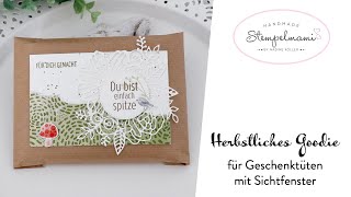 Herbstliches Goodie für Geschenktüten mit Sichtfenster | Tipp zum Stempelset gut gerahmt