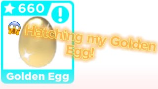 Hatching my Adopt Me Golden Egg!