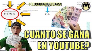 ¿CUANTO GANA UN CANAL PEQUEÑO EN CUARENTENA? | ¡MI PRIMER PAGO! | ¿CUANTO PAGA YOUTUBE?