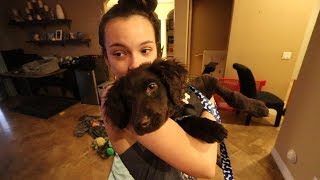 LITTLE SISTER SURPRISES ME WITH NEW PUPPY!!