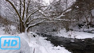 River Flow with Live Snowfall on a Mountainside UHD. Peace, Relax, WhiteNoise, Water, Life ASMR 5h