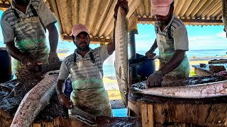 Wow Amazing! Special Village Most Popular Biggest Fish Market Mackerel Fish Cutting Skills Mr Jude