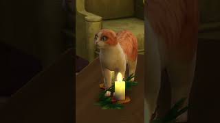 The saddest cat I've ever seen #shorts #sims4 #cat #cats #cute #sad