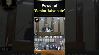 Power/Respect of Senior Advocate | Court Room Clips | #courtlive | #viralreels #trending