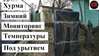 Хурма Зимний Мониторинг Температуры под Укрытием