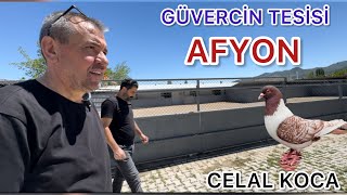 AFYON DA CENNET GİBİ MEKAN ( GÜVERCİN TESİSİ )