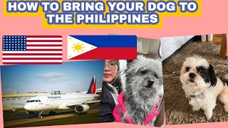 HOW TO TRAVEL WITH YOUR DOG TO THE PHILIPPINES 2022 (What are the requirements?)