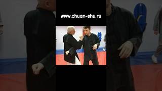 "CHUAN SHU" Martial Arts Club #shorts