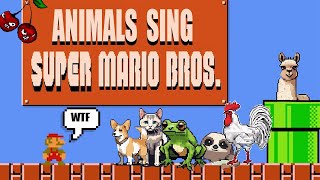 Mario theme but it sounds like animals🐸🐾😸