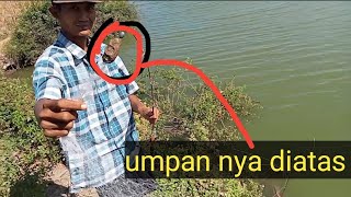 ukuran jaring 3 inci untuk ikan ukuran 4 jari ke bawah