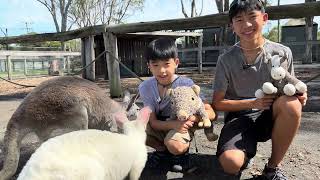 Hunter Valley Wildlife Park in Australia (bonus footage)