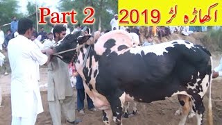 Akharra krah  Larr 2019 part 2